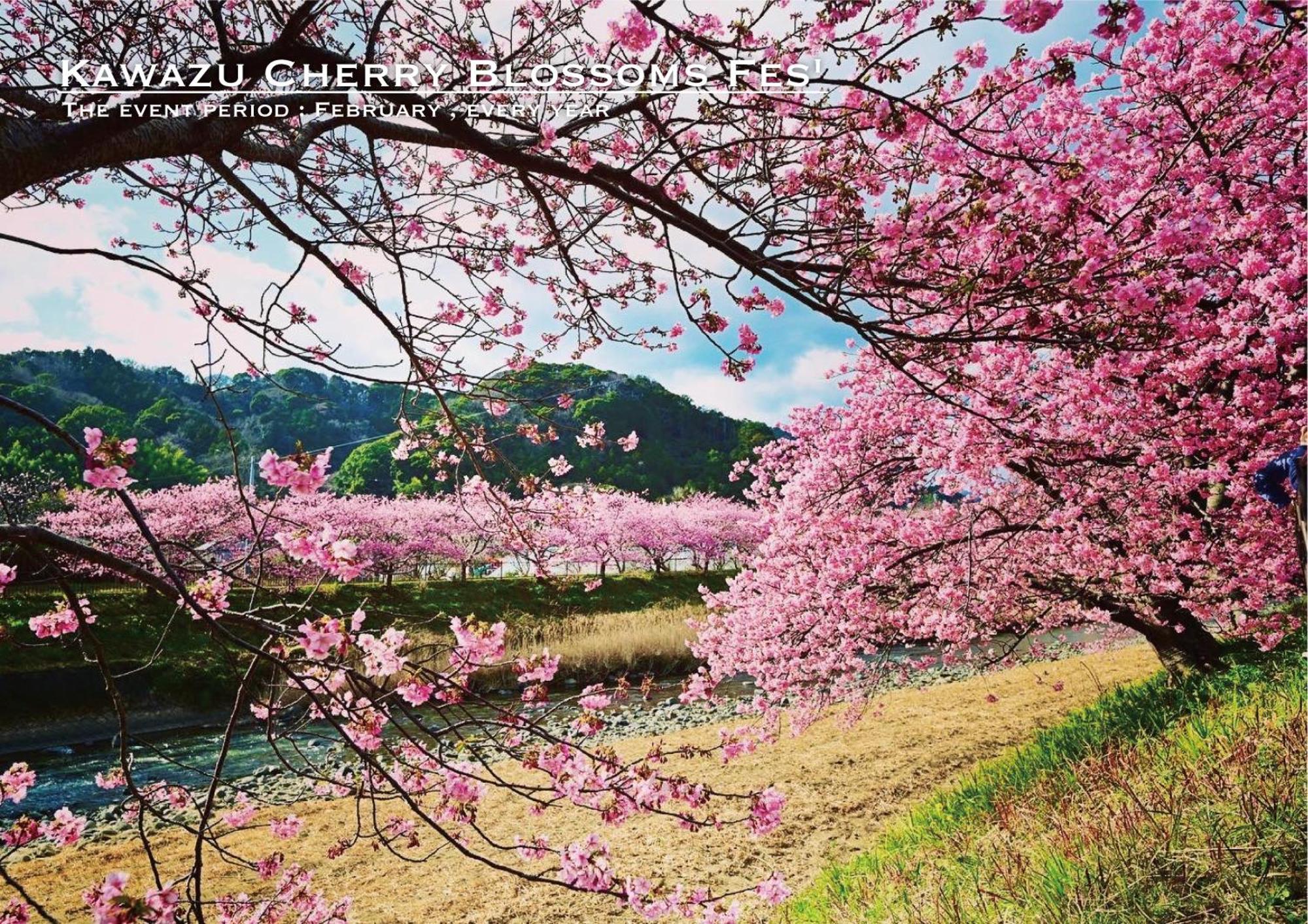 Kawazu Log House Villa Dış mekan fotoğraf
